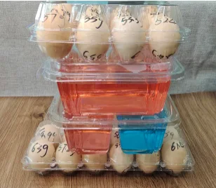 Wholesale Chicken Egg Holder Clamshell Chicken Egg Tray Transparent Plastic 6 8 12 15 16 30 Holes PET Agriculture