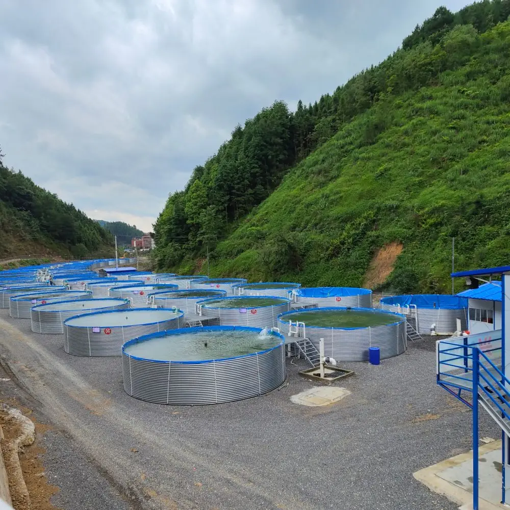 China plier Wholesale Customizable  High Quality  Aquaculture Tilapia & Shrimp Ras System  fish farming tank