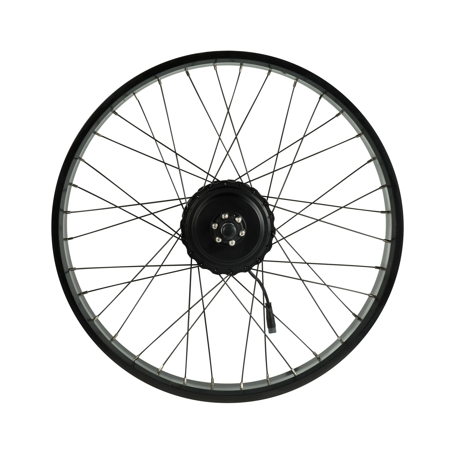 48V 350W 500W Electric Bike Motor 750W for Fat Tyre Bike Electric Bicycle