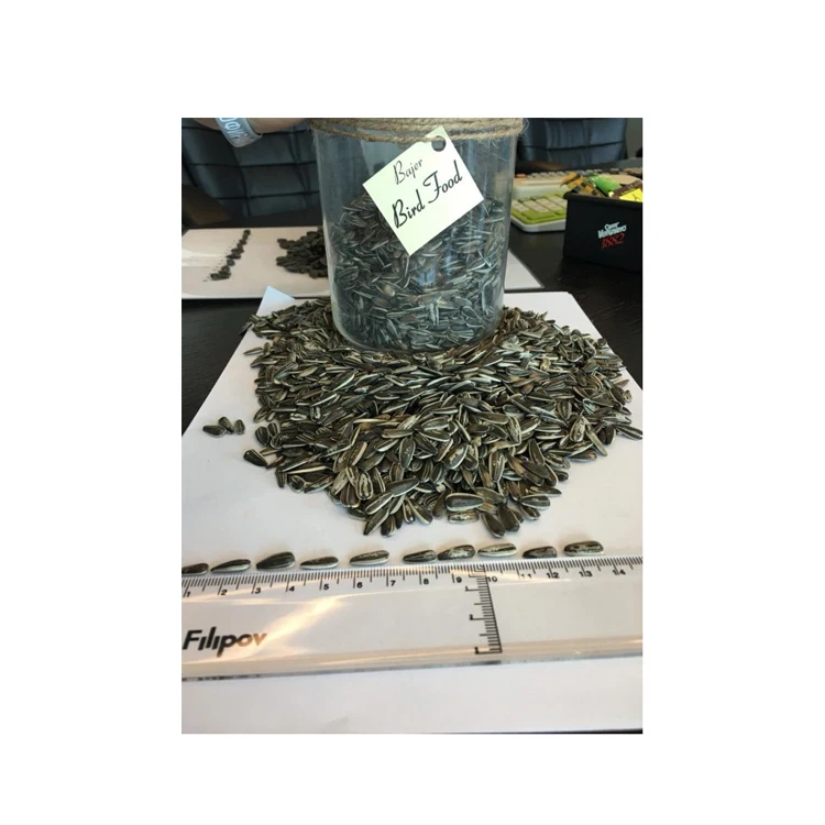 Badjer Good Quailty Striped Sunflower Seeds Sunflower Small Size Sunflopwer Seeds for Birds Packaging Natural Raw New Crop