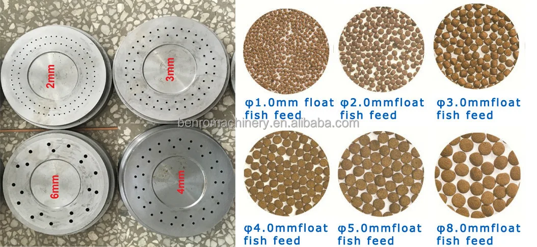 Automatic floating fish food machine