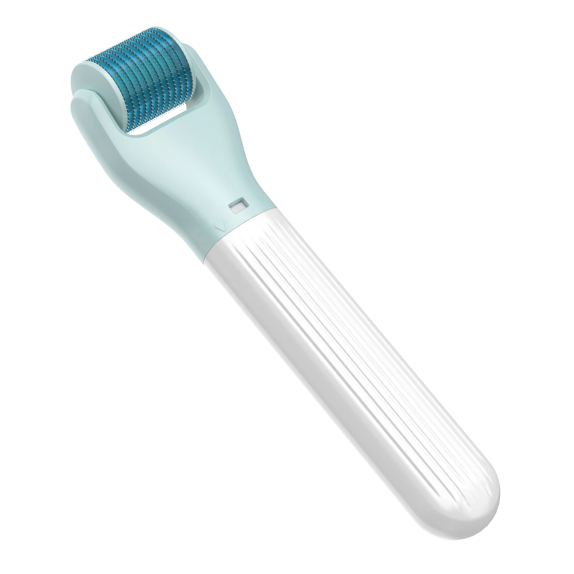 2023 New Micro Needle Derma Roller Tool 10 in 1 Dermaroller Custom Skin Care