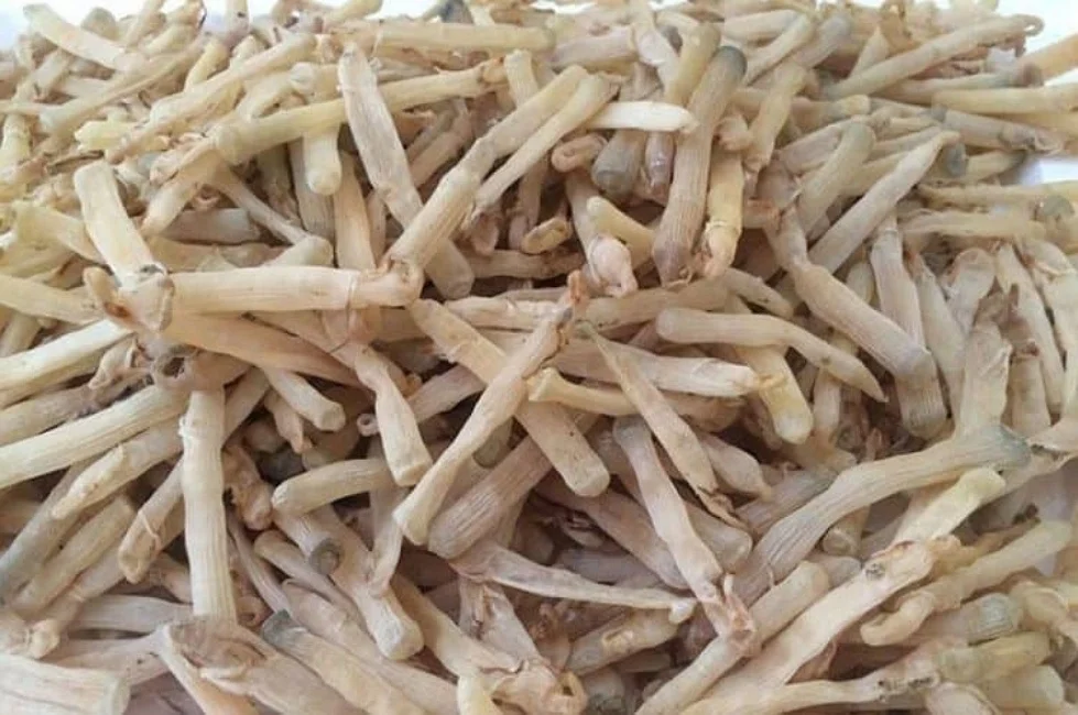 Хит продаж вьетнамские сушеные ланчоусы свежие и здоровые морепродукты оптовая цена