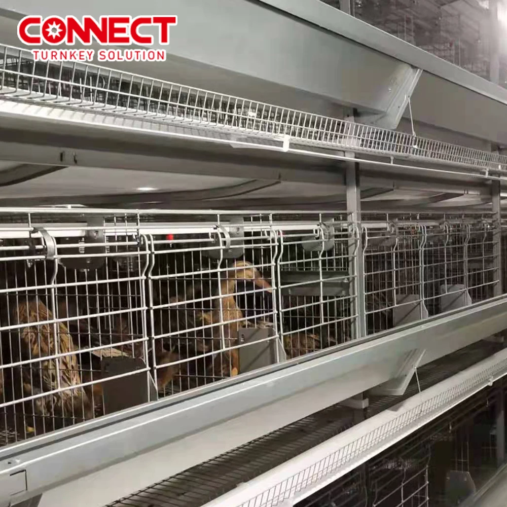 Complete Automatic Poultry Husbandry Equipment H Type Feeding House Manual Poultry Metal Broiler Raising Chicken Cage For Chicks