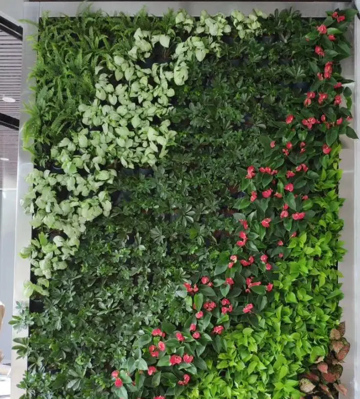 Three-dimensional vertical greening plant wall combined flower pot living real plant wall