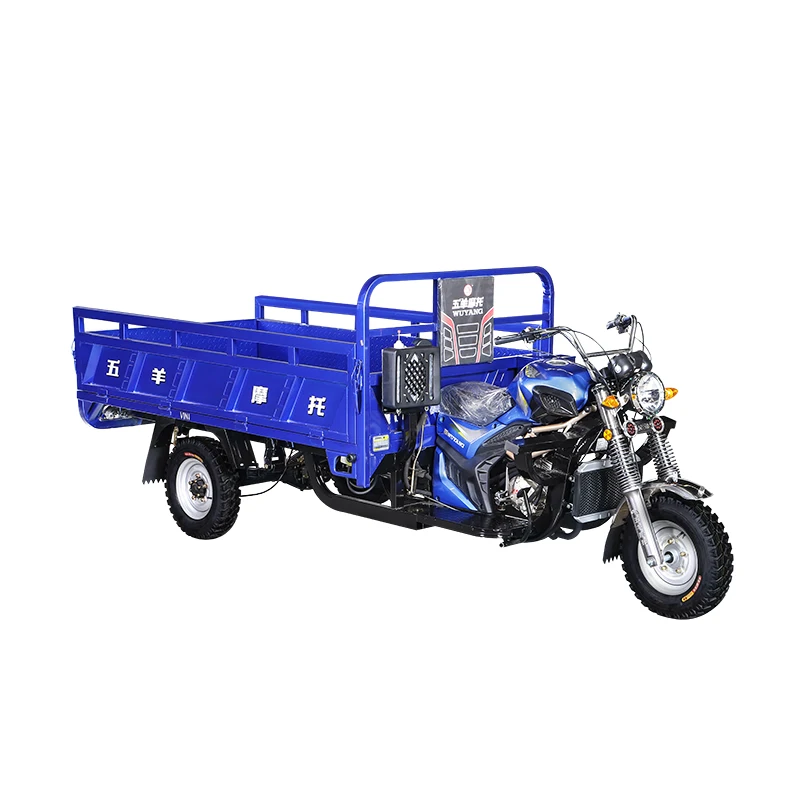 
Factory Wholesale Cargo Tricycle For Adult 