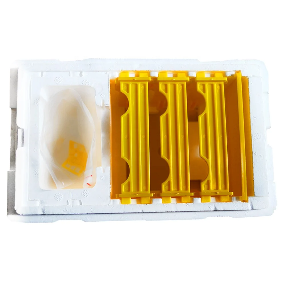 Plastic queen rearing nuc bee box mini queen bee mating box