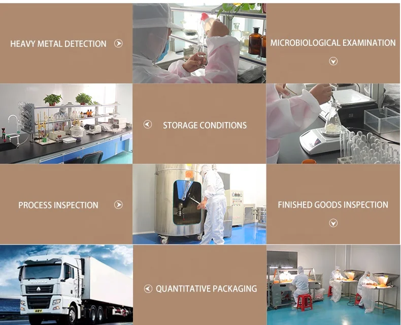 Healthy Food Ingredients Blanched Almond Flour/Powder