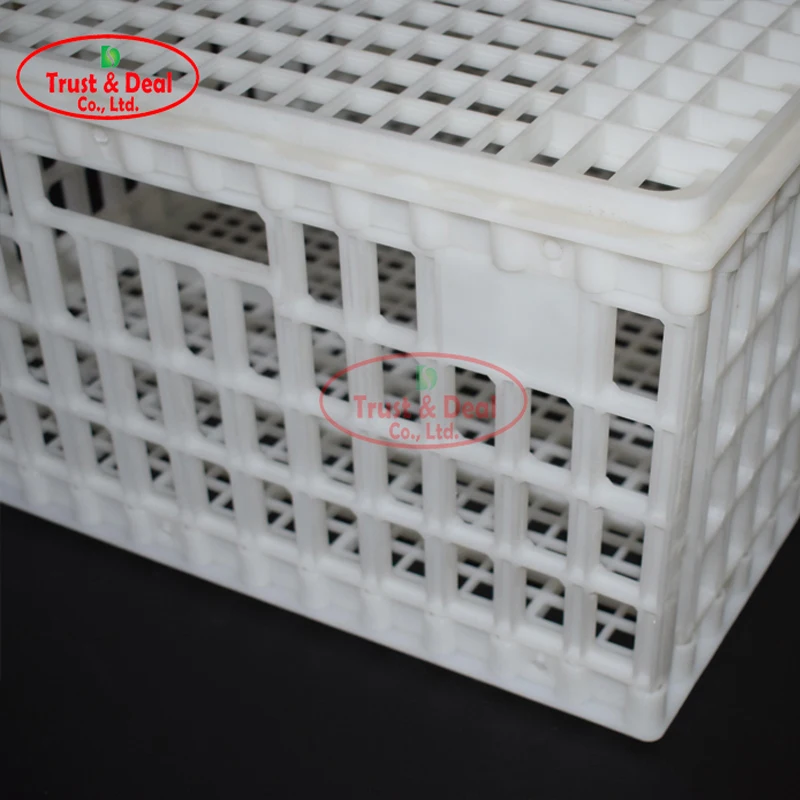 plastic transport bird cages for live chicken transport cages poultry transport crate