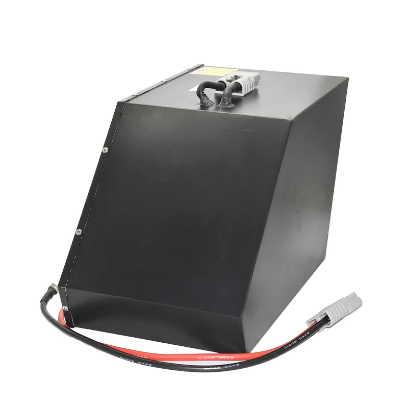 Литий-ионная батарея для электроскутера WELLGO OEM 36 в 48 60 72 20 Ач 30 40