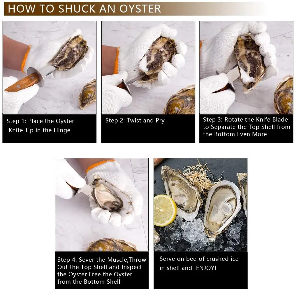 Heavy Duty Seafood Clam Knife Shellfish Opener Stainless Steel Shucking knife with Non-Slip Wooden Handle and Large Guard