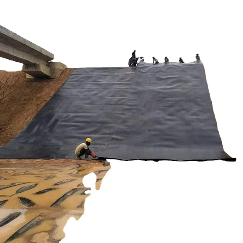 Saltworks  Reservoir Landfill Site Waterproof Artificial Lakes Seepage Control Geomembrane Aquaponic Pond Liner