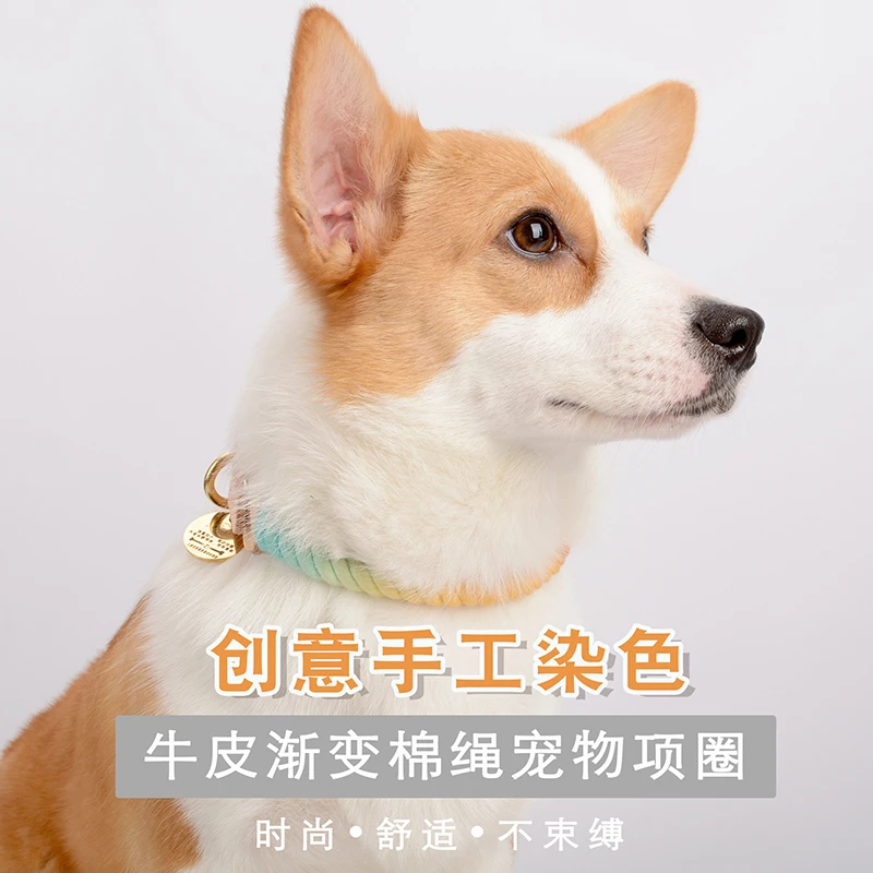 Adjustable Puppy Leather Belt Braided Cotton Rope  Leather Dog Collar for Small Dog Cat