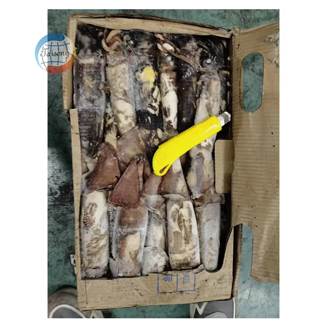 Дешевые свежие морепродукты замороженный каламари индийский кальмар
