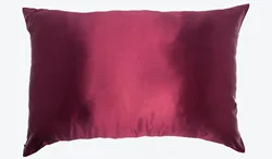 100% Mulberry Silk Pillowcase With Gift Box Natural Silk Pillow Case With Oeko Certificate