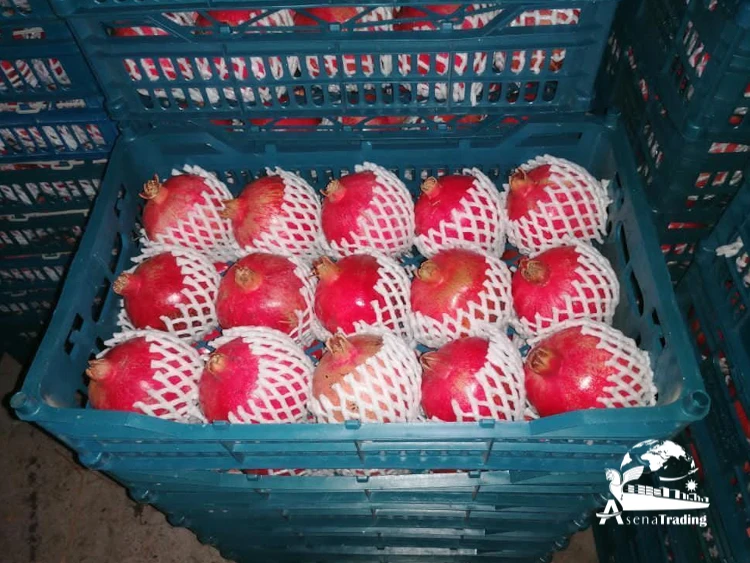 The most popular wholesale Fresh Red Sweet Pomegranate Fresh Red Pomegranates Wholesale Fresh Pomegranates