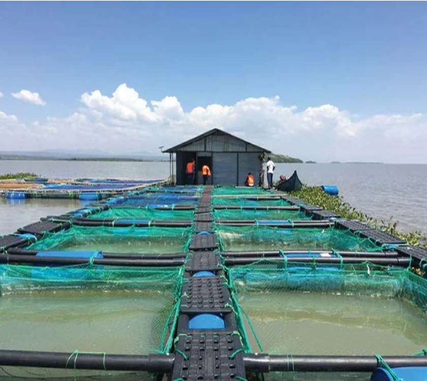Knotless Sea Fishing Nets Cages Aquaculture Cage Fish Farming Fish Tank for Mariculture Crab Shrimp Sea Cucumber Farming HDPE
