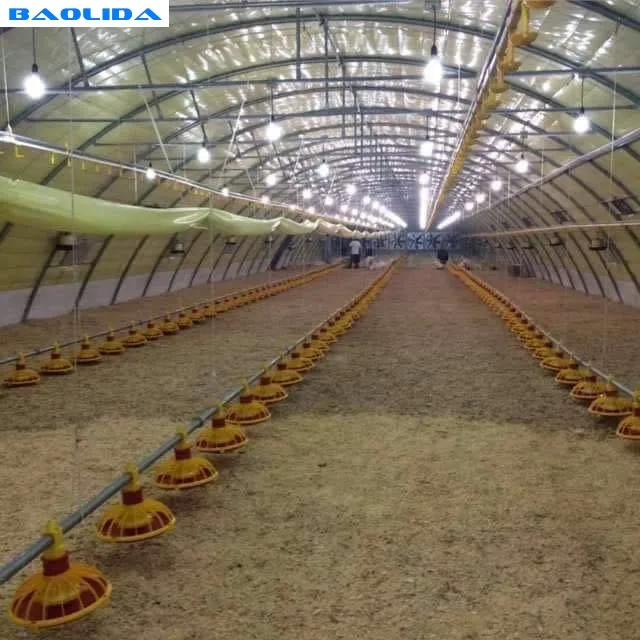 Poultry Farm Used Agricultural  Plastic  Greenhouse
