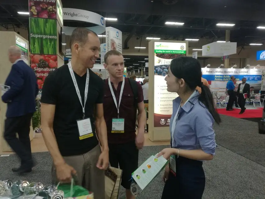 Wholesale Bulk Wheatgrass Powder Organic Barley Grass Supergreen Blend natural