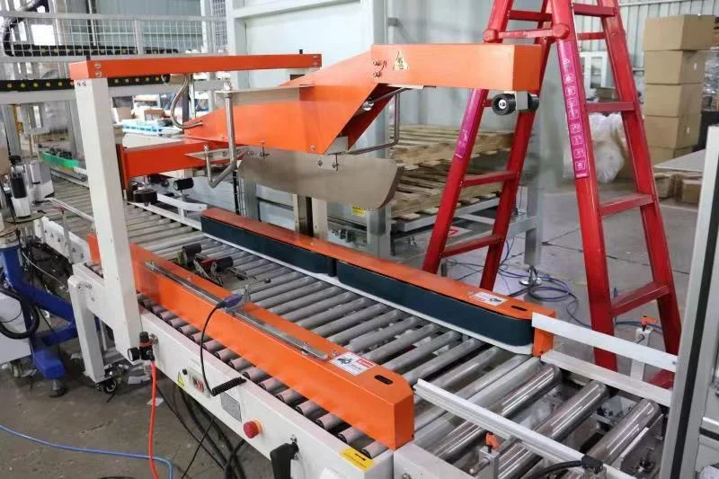 auto bag pack into paper box carton case packing machine