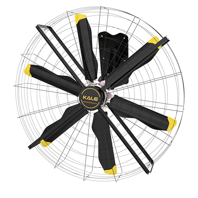 
China Kale Official 2M PMSM Wall Mounted Fans for Gym Warehouse 