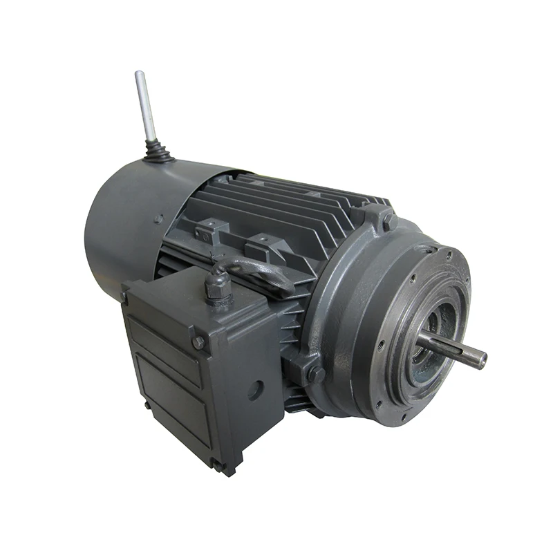 3-Phase Asynchronous Motor Demagnetizing Brake Three Phase Induction Motor