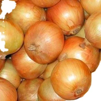 Fresh new onion on promotion