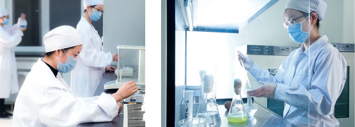 Витамины Biotion, жевательный кальций и цинковый фруктовый аромат, жевательные конфеты