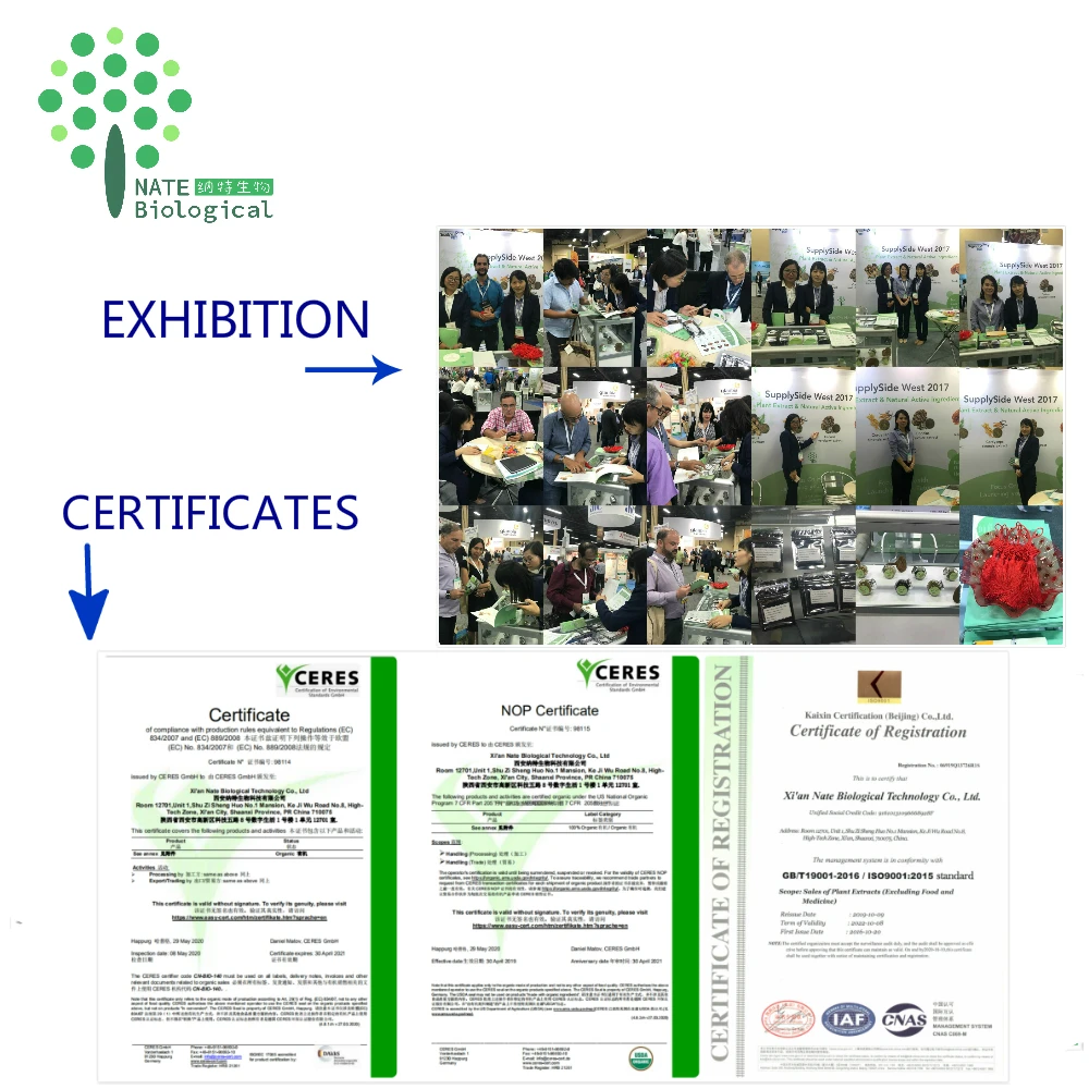 Материал для ухода за кожей порошок с экстрактом улитки слизи