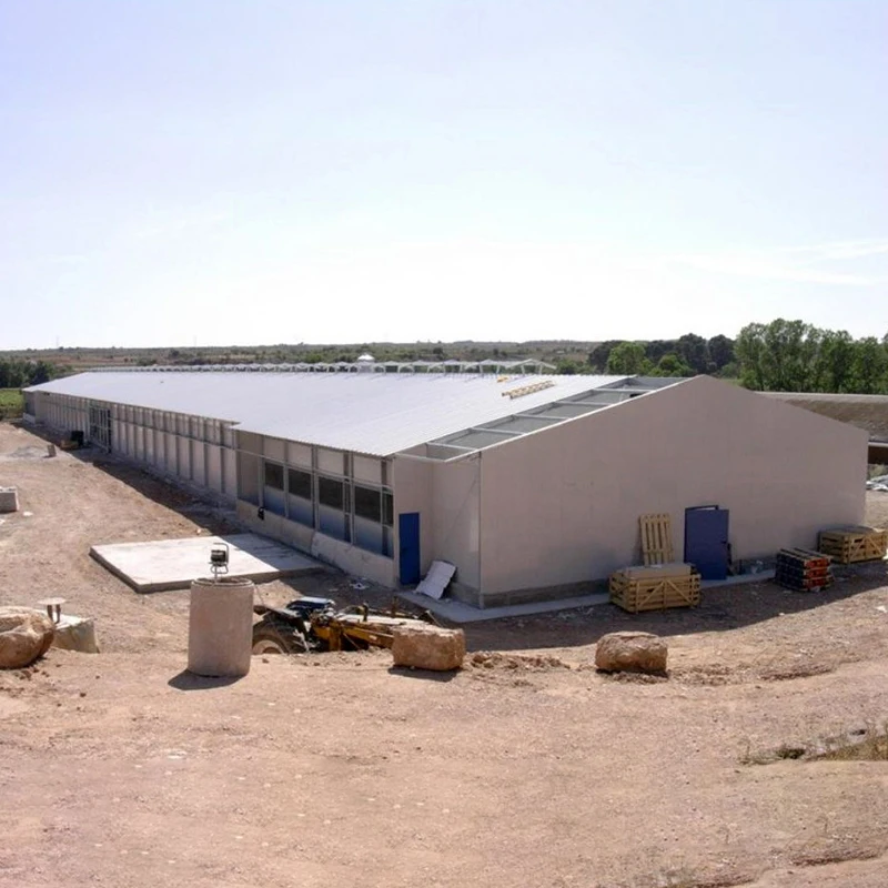 High Quality  Cheap Prefabricated DWG Designs Chicken Steel Structure  Coop Houses Shed For Sale