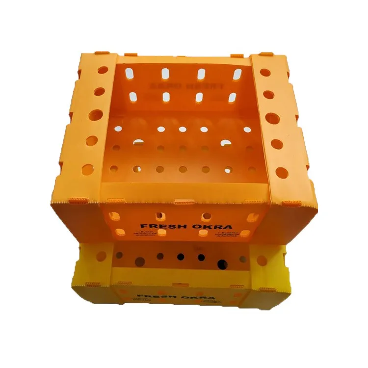 Foldable PP Corrugated corflute Plastic Okra Box