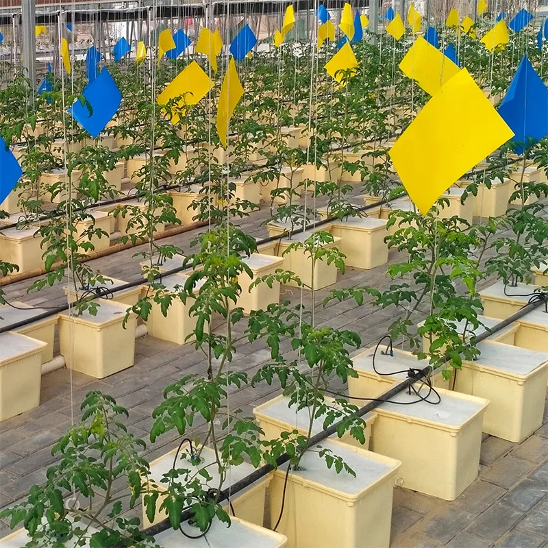 Square Plastic Flower Pot  Nft Channel Vertical Hydroponics Tomato Hydroponic Strawberry Dutch Bucket Indoor