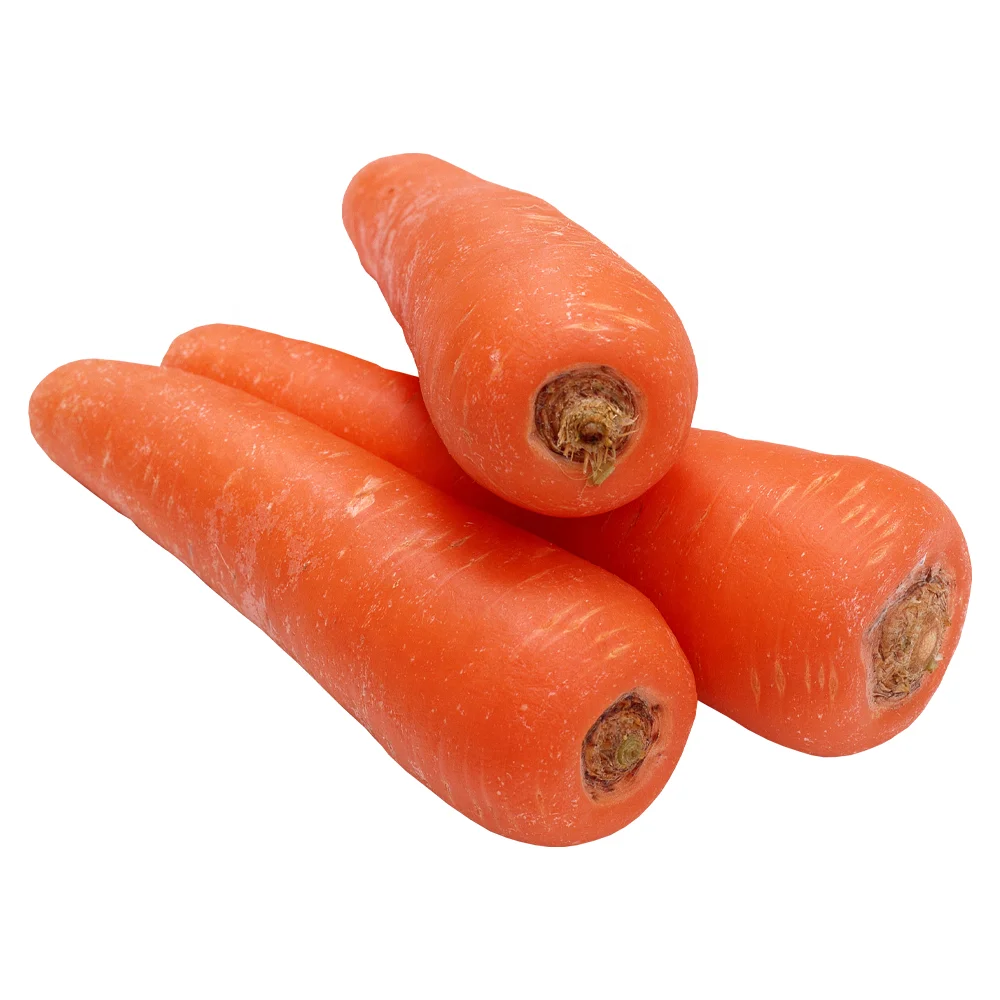 Wholesale carrots price fresh price per ton from China