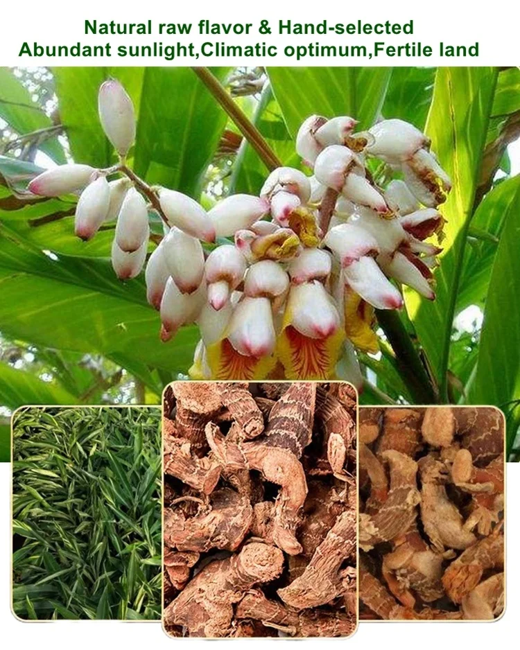 Новый Урожай alpinia высокое качество высушенные натуральные корни галанги