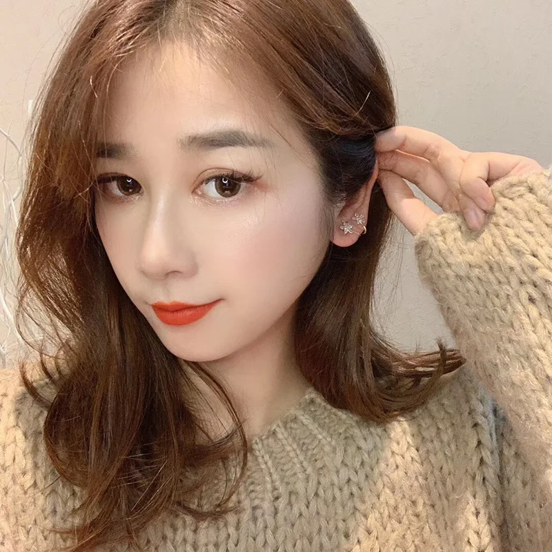 New Korean Styles Summer Accessories 925 Flower Earrings For Women Shiny Zircon