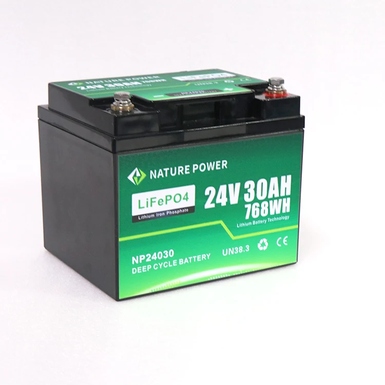 NATURE POWER Deep Cycle Lithium-Ion Battery with BMS 24v 30Ah Car Cranking Battery Lifepo4
