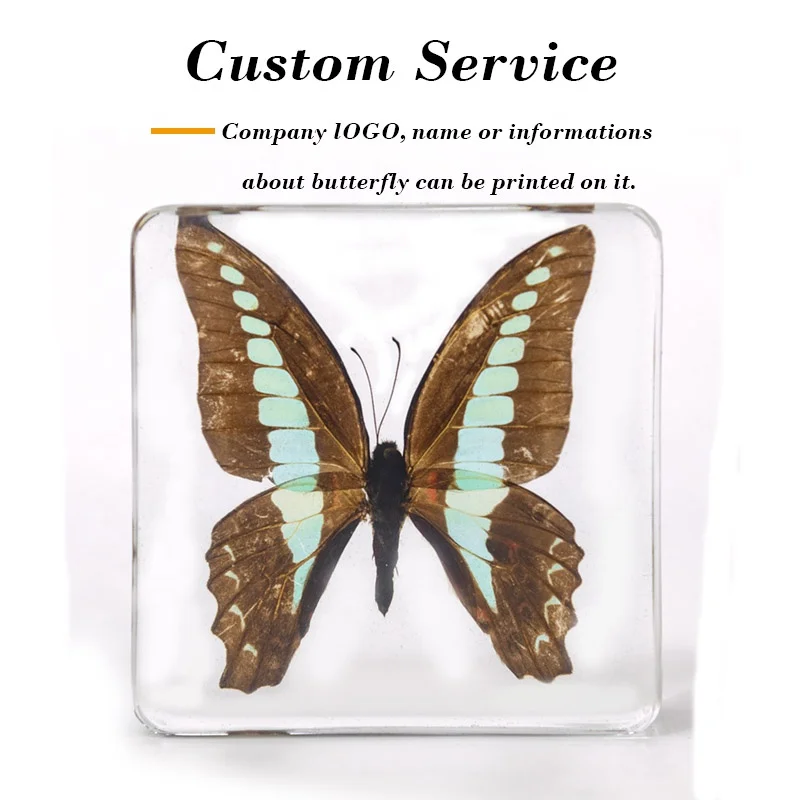 display case cabinet book rack bookshelf tea table end table bedside China factory clear resin real butterfly desktop decoration