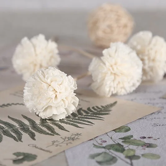 Newell Accessories Aromatherapy Bundle Replacement Handmade Dried Reed Diffuser Wood Sola Wood Carnation Flower