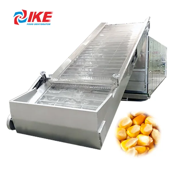 IKE Customized Heat Pump Food Saffron Biltong Dryer Drying Machine for Ginger Drying Processing Line Stainless Steel Automatic