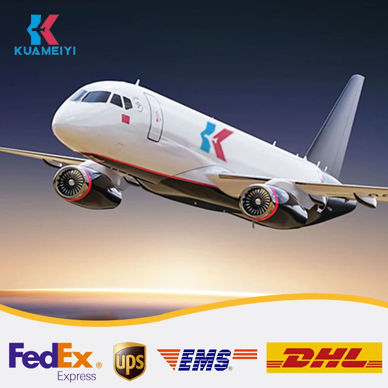 Профессиональная служба доставки от двери до доставка в США Канада DHL UPS DDP логистические услуги
