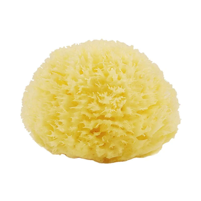 Lonx Sea Foam Sponge Organic Customized Packaging Natural Sea Sponge Wholesale Greece Natur Schwamm
