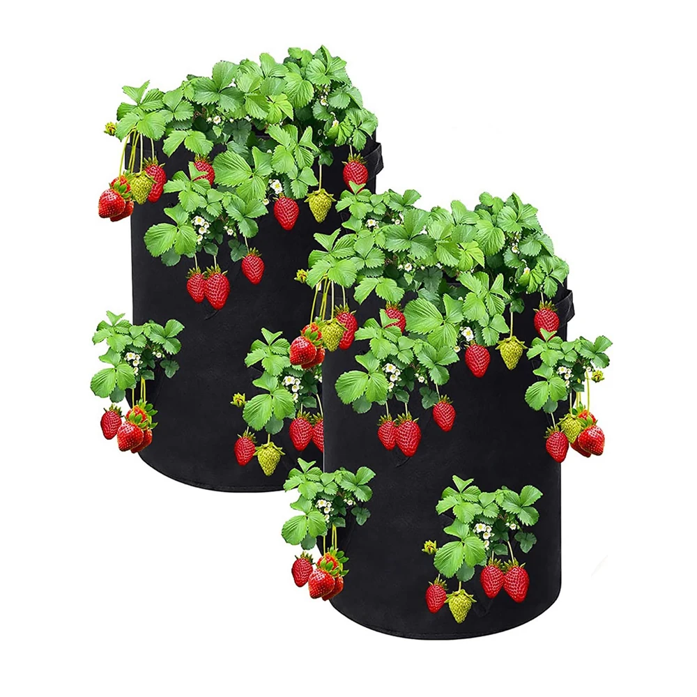 Eco Friendly 7 Gallon 10 Gallon Felt Strawberry Plant Grow Bag With 8 Side Pockets