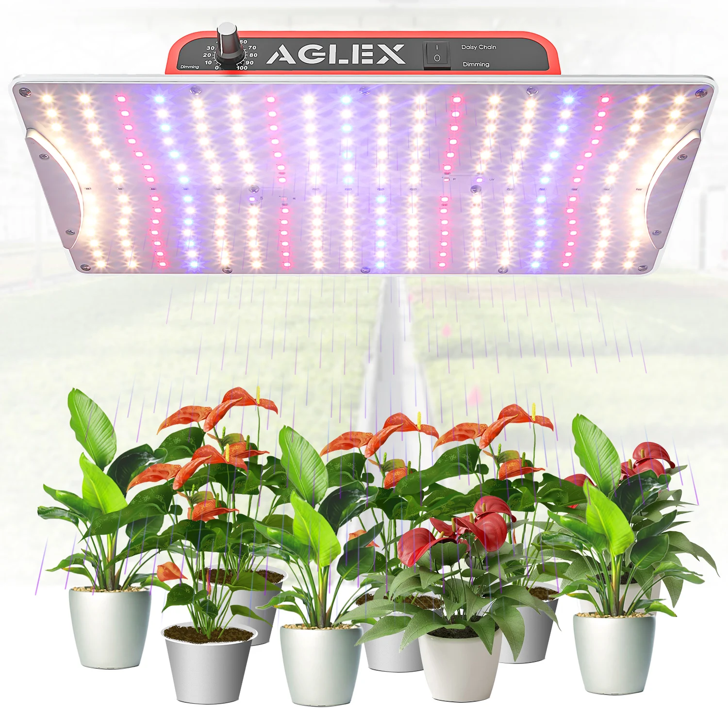 Factory Wholesale Price Available Stock LED Light Board Series 100W 200W 400W Full Spectrum Grow Light for Indoor Plants UV IR
