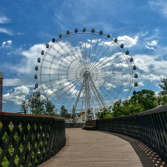 Professional factory product  best selling  amusement park rides 65m ferris wheel for sale