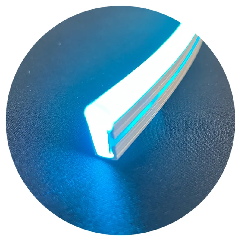 6mm 8mm 10mm DC12V DC24V silicone luce pixel rgb mars lake blue color neon flex led strip light for custom logo led neon sign