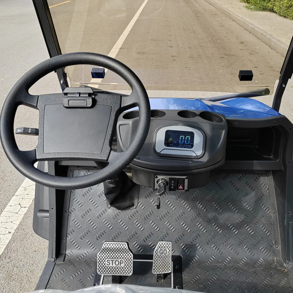 Raysince New model electric golf buggy good quality electric mini buggy electric golf