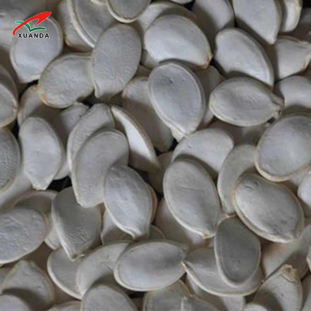 Сырые и сушеные семена тыквы 13 мм лидер продаж 1 кг Лидер большой размер Белоснежка цена