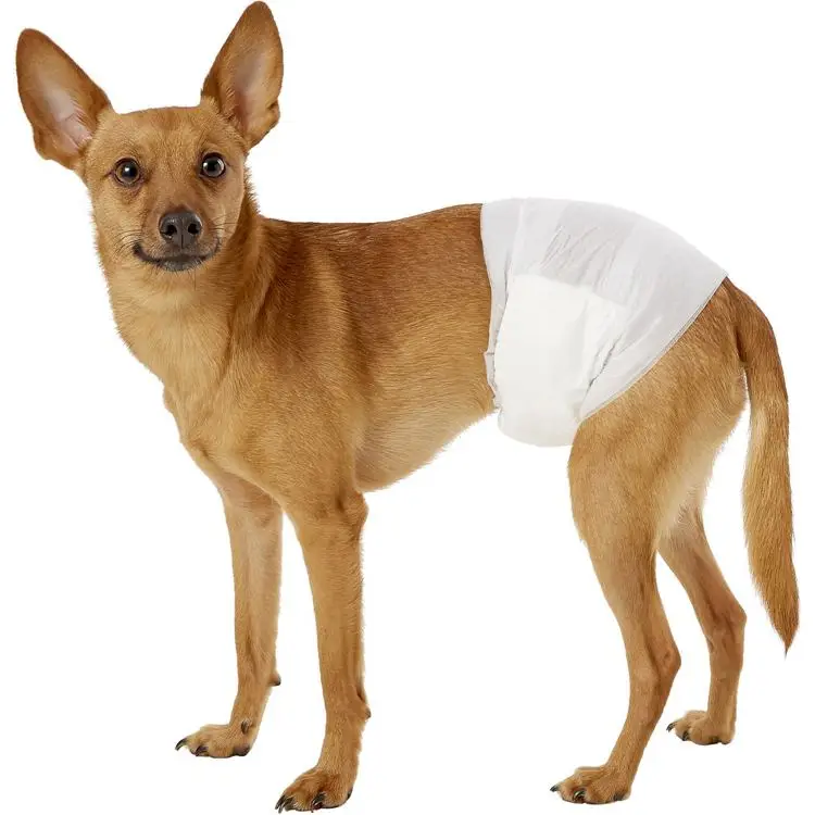 
high quality cheap price waterproof super absorbent disposable dog diaper 