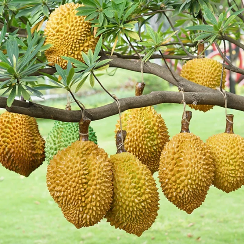 Handcrafted Lifelike Durian Fruit Decoration Authentic Durian Ornament for Home for Christmas New Year Easter Celebrations