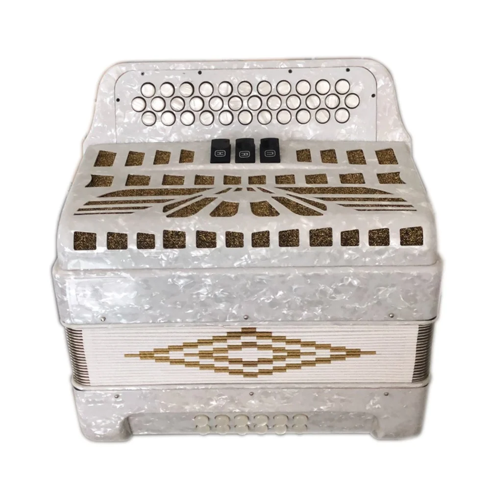 34 кнопки, 12 басов, 3 записи, фиолетовый студенческий гармодеон, музыкальные Аккордеоны JB3412B